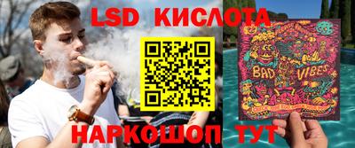 шишки Конаково