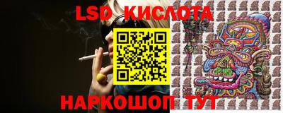 шишки Конаково