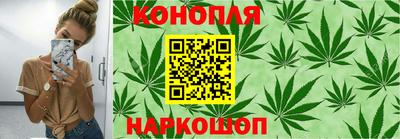 шишки Конаково