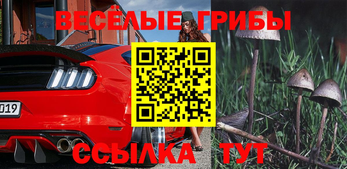 Псилоцибиновые грибы Cubensis Ишим